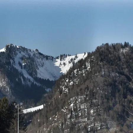 Apartmán Hochfelln *